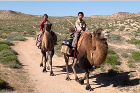 僕たちの家に帰ろう メイン画像