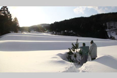 一献の系譜 メイン画像