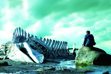 裁かれるは善人のみ メイン画像