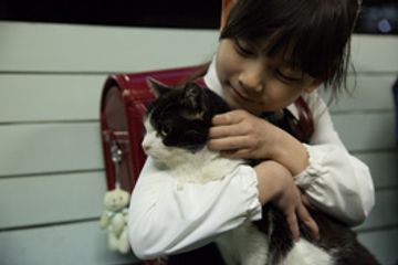 4/猫 ―ねこぶんのよん―