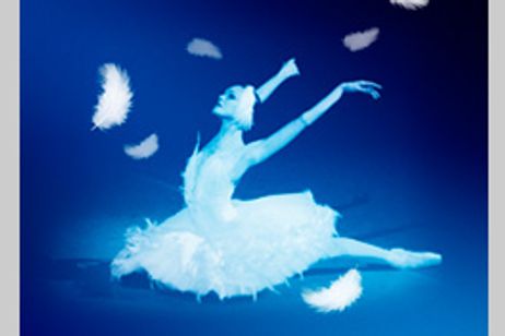 ロパートキナ 孤高の白鳥 メイン画像