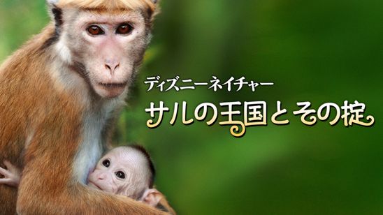 ディズニーネイチャー サルの王国とその掟 メイン画像