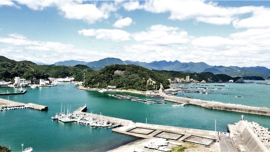 ビハインド・ザ・コーヴ〜捕鯨問題の謎に迫る〜 メイン画像