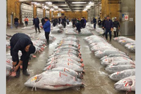 TSUKIJI WONDERLAND メイン画像