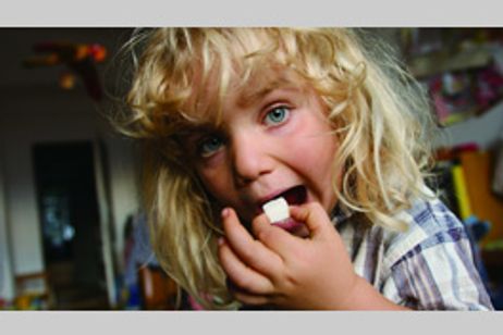 シュガー・ブルース 家族で砂糖をやめたわけ メイン画像