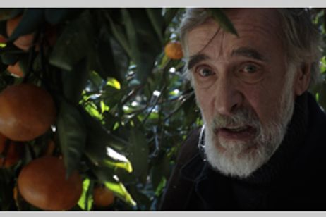 みかんの丘 メイン画像