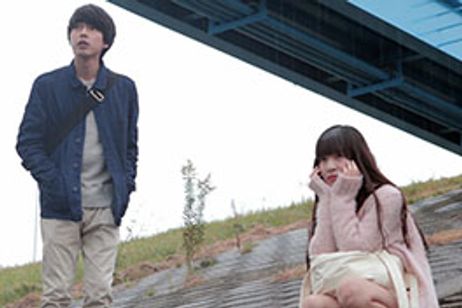 うつろいの標本箱 メイン画像