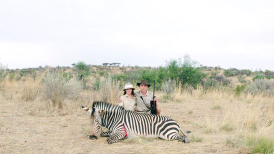 サファリ(2016) メイン画像