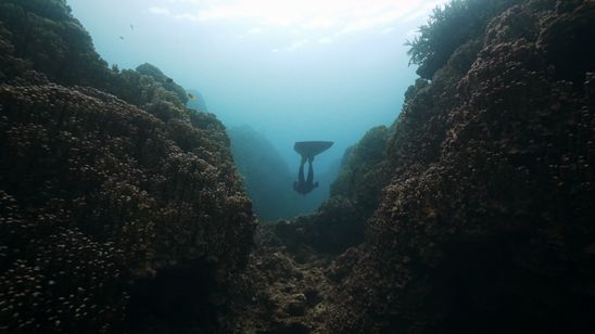 ＺＡＮ　ジュゴンが姿を見せるとき メイン画像