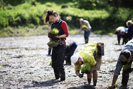 ZEN FOR NOTHING 何でもない禅 メイン画像