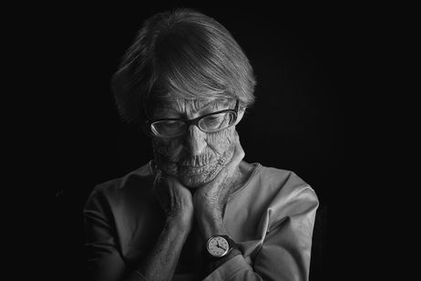 ゲッベルスと私 メイン画像