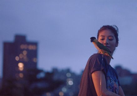 台北暮色 メイン画像