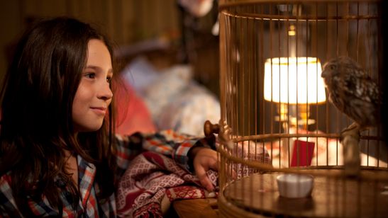 マチルド、翼を広げ メイン画像