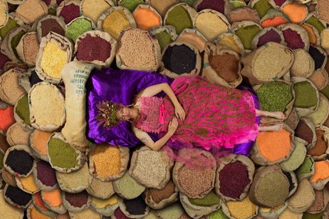 シード ~生命の糧~ メイン画像