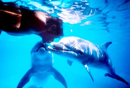 ドルフィン・マン　ジャック・マイヨール、蒼く深い海へ メイン画像