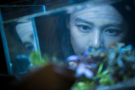 人面魚　THE DEVIL FISH メイン画像