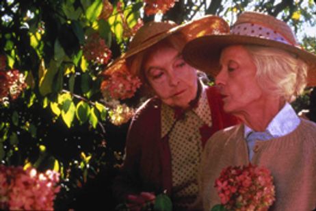 八月の鯨(ニュープリント版) メイン画像