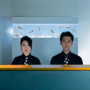 SHELL and JOINT メイン画像