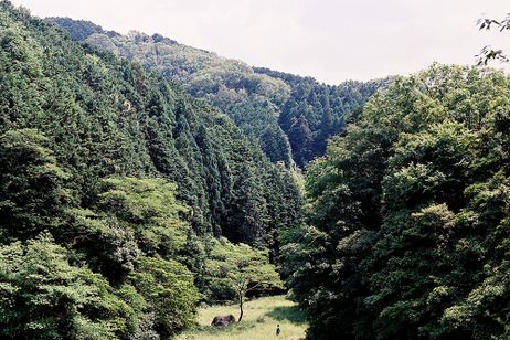 おばけ メイン画像