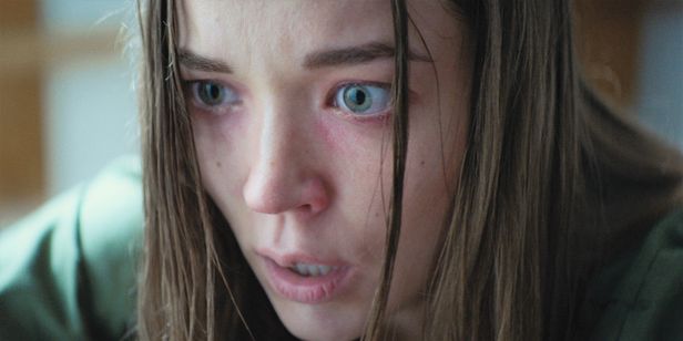 マッド・ハウス メイン画像