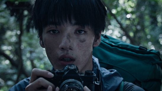 青い、森 メイン画像