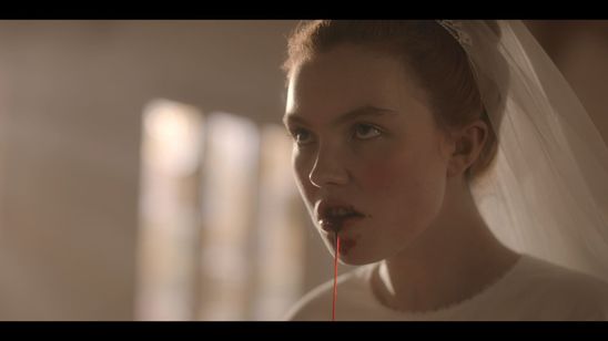 ダーリン メイン画像