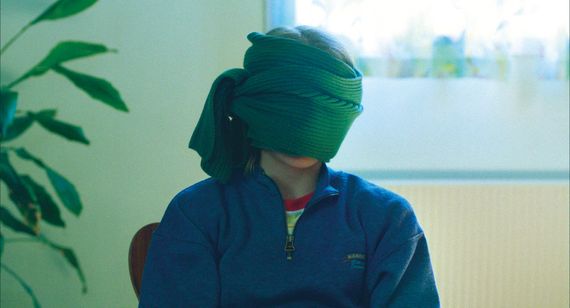 パーフェクト・ノーマル・ファミリー メイン画像