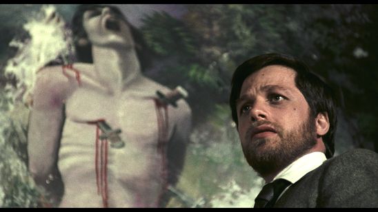 笑む窓のある家 メイン画像