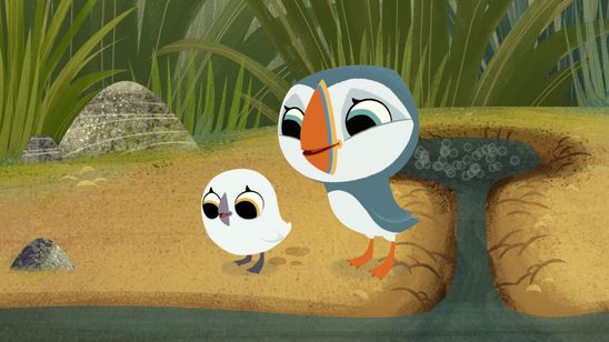 パッフィン・ロック メイン画像