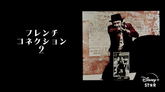 フレンチ・コネクション２ メイン画像