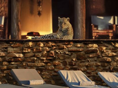 その年、地球が変わった メイン画像