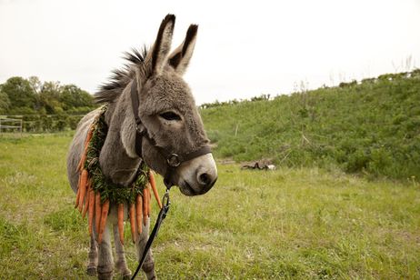 EO イーオー メイン画像