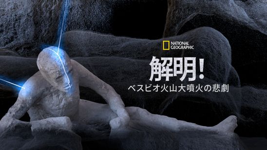 解明！ベスビオ火山大噴火の悲劇 メイン画像