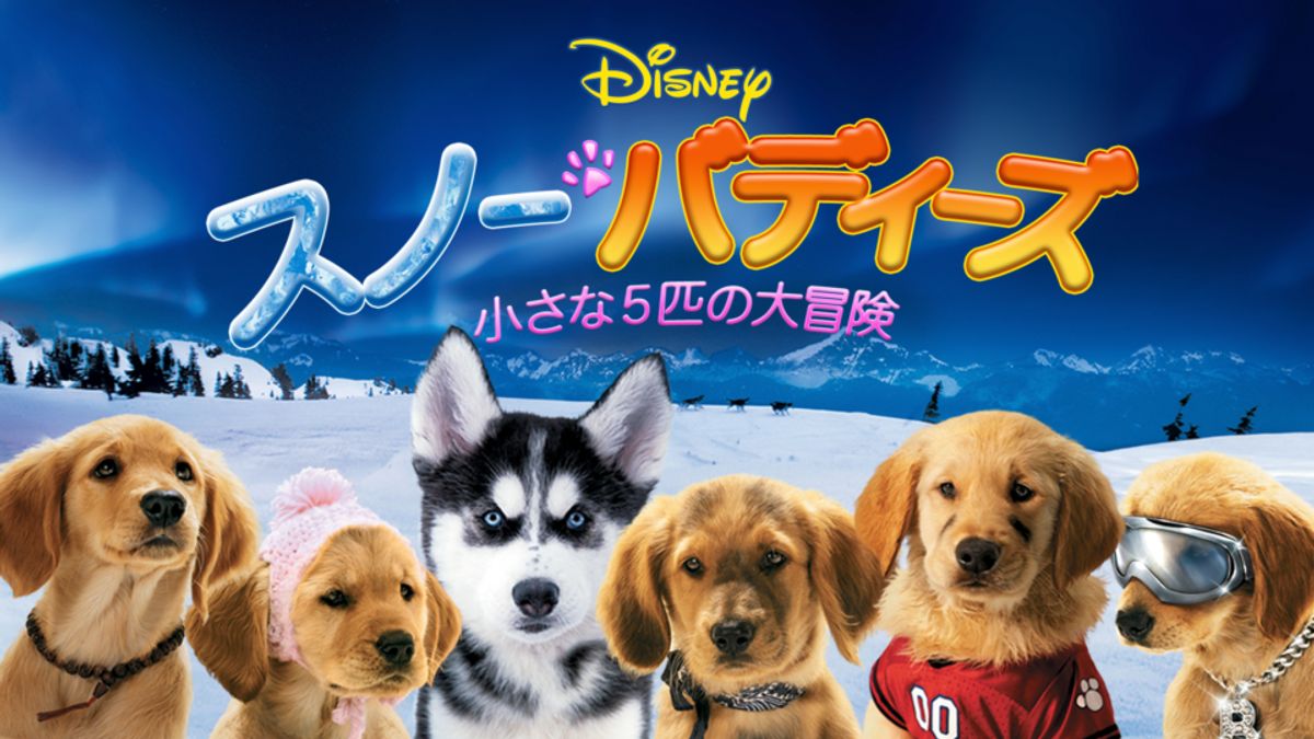 映画DVD４点★『スノー・バディーズ 小さな5匹の大冒険』など★レンタル落ち スノー・バディーズ／小さな5匹の大冒険：映画作品情報