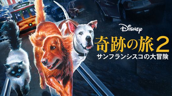 奇跡の旅2 サンフランシスコの大冒険 メイン画像