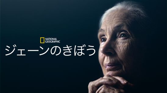 ジェーンのきぼう メイン画像