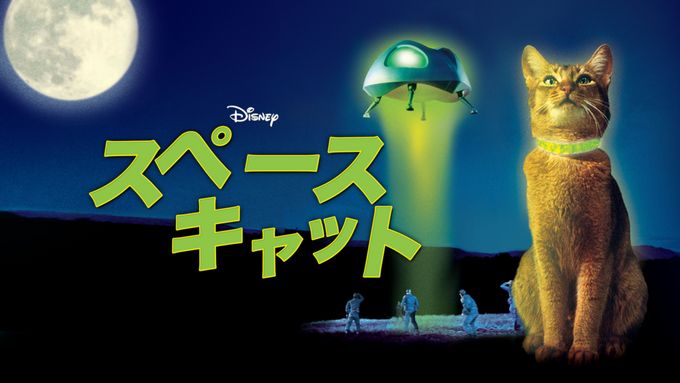 スペースキャット