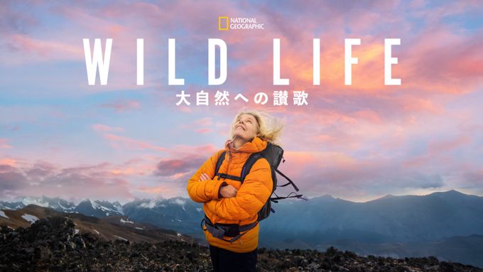 WILD LIFE 大自然への讃歌