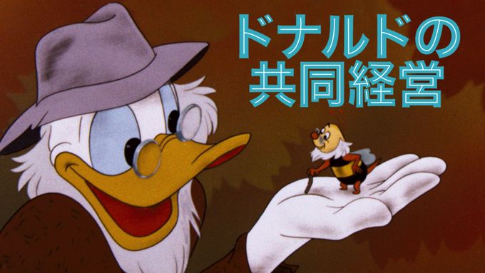 ドナルドの共同経営