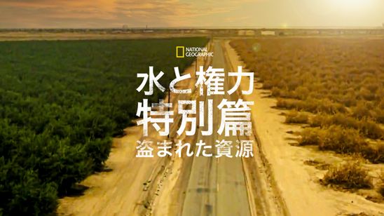 水と権力 特別篇：盗まれた資源 メイン画像