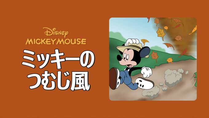 ミッキーのつむじ風