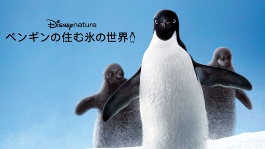 ペンギンの住む氷の世界 メイン画像