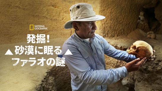 発掘！砂漠に眠るファラオの謎 メイン画像