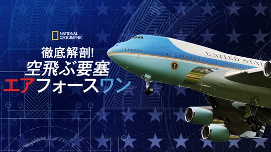 徹底解剖！空飛ぶ要塞 エアフォースワン メイン画像