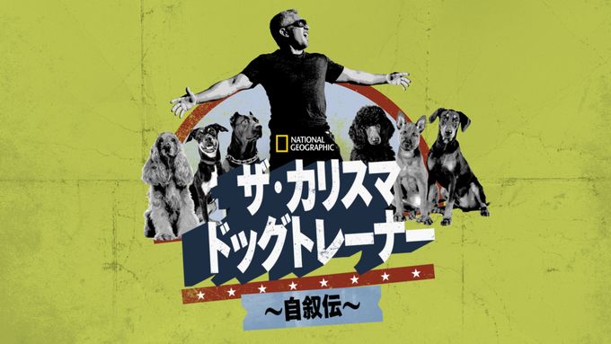 ザ・カリスマ ドッグトレーナー ～自叙伝～
