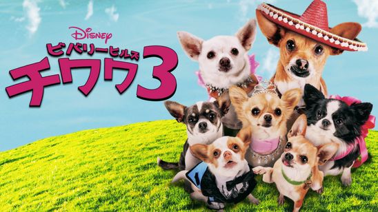 ビバリーヒルズ・チワワ3 メイン画像