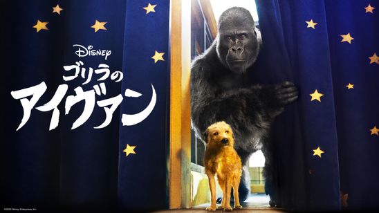 ゴリラのアイヴァン メイン画像