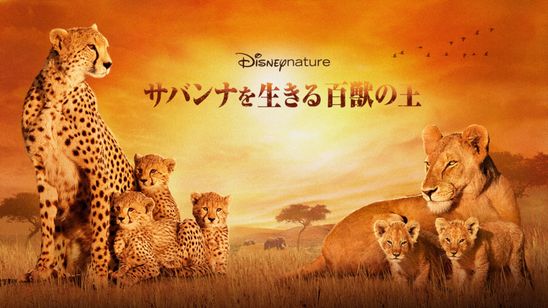 ディズニーネイチャー／サバンナを生きる百獣の王 メイン画像