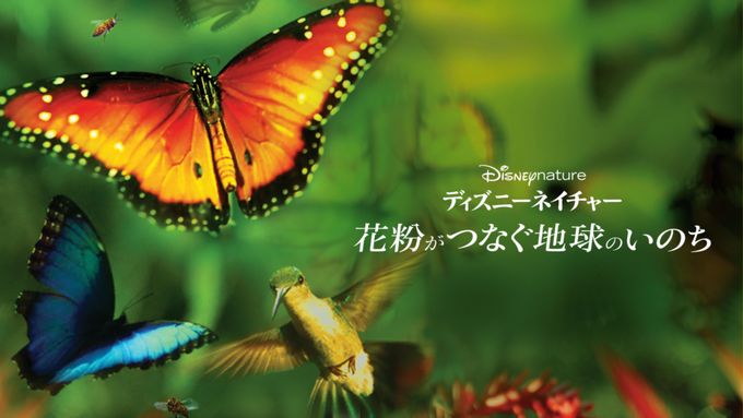 ディズニーネイチャー／花粉がつなぐ地球のいのち