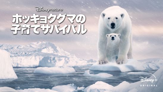 ディズニーネイチャー/ホッキョクグマの子育てサバイバル メイン画像